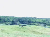 知床五湖の写真・動画_image_216453