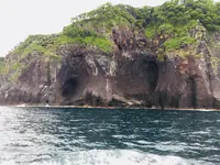 知床観光船の写真・動画_image_216458