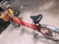 サイクルメイトQ旧軽本店の写真・動画_image_216581