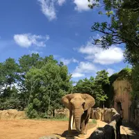 八木山動物公園フジサキの杜の写真・動画_image_216603