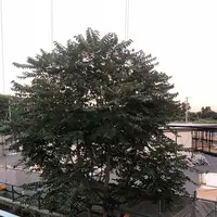 気仙沼市営野球場の写真・動画_image_216632