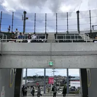 仙台市民球場の写真・動画_image_216663