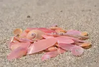 能登金剛の写真・動画_image_217305