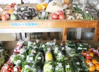 道の駅 京丹波 味夢の里の写真・動画_image_217410