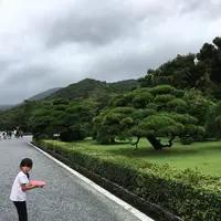 伊勢神宮の写真・動画_image_217430