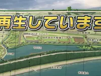 奇跡の一本松の写真・動画_image_217515