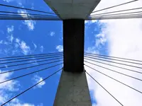 向山橋の写真・動画_image_217560