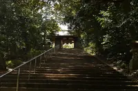 長浜神社の写真・動画_image_217709