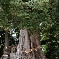 揖夜神社の写真・動画_image_217720