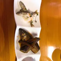 美濃観光ヤナの写真・動画_image_217966