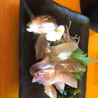 美濃観光ヤナの写真・動画_image_217967