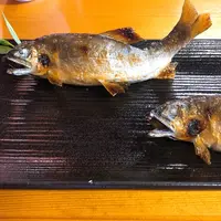 美濃観光ヤナの写真・動画_image_217968