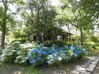 ロッジ舞洲（舞洲野外活動センター）の写真・動画_image_218173