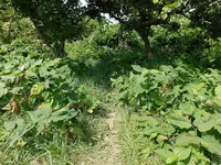 金ヶ崎温泉の写真・動画_image_218772