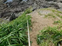 金ヶ崎温泉の写真・動画_image_218775