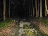 日本の写真・動画_image_218804