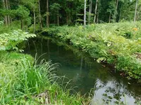 杉沢村の写真・動画_image_218834