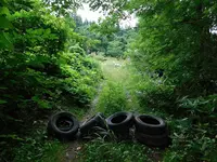 杉沢村の写真・動画_image_218835