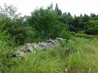 杉沢村の写真・動画_image_218838