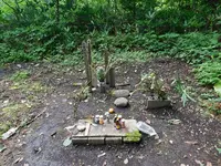 杉沢村の写真・動画_image_218839