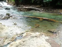 タヌキの湯の写真・動画_image_218850