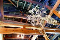 CALiNの写真・動画_image_219016