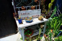 CALiNの写真・動画_image_219017