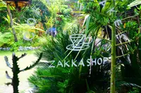 CALiNの写真・動画_image_219019