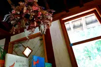 CALiNの写真・動画_image_219020