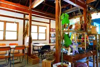 CALiNの写真・動画_image_219024
