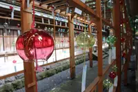 熊野大社の写真・動画_image_219114