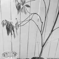 SORA CAFE & COOKING ROOMの写真・動画_image_219226