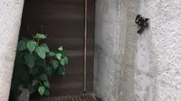 coxの写真・動画_image_219229