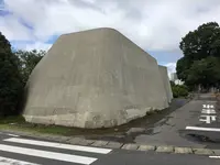 coxの写真・動画_image_219230