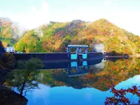 みどり湖の写真・動画_image_219289