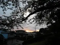 船越近隣公園の写真・動画_image_219309