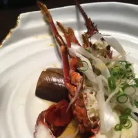 箱根吟遊の写真・動画_image_219434