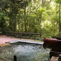 箱根吟遊の写真・動画_image_219435