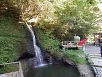 鶴仙渓の写真・動画_image_219448