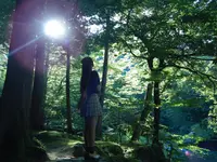 鶴仙渓の写真・動画_image_219453