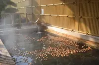 みどり湖の写真・動画_image_219723