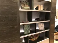 綱島源泉 湯けむりの庄の写真・動画_image_219927