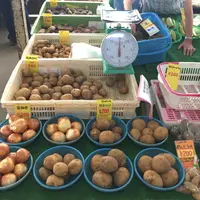 鎌倉市農協連即売所の写真・動画_image_220054