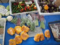 鎌倉市農協連即売所の写真・動画_image_220055
