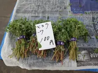 鎌倉市農協連即売所の写真・動画_image_220056