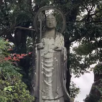 江西寺（だるま寺）の写真・動画_image_220078