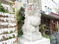 菊名神社の写真・動画_image_220090