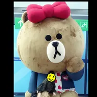 仁川国際空港/Incheon International Airport/인천국제공항の写真・動画_image_220285