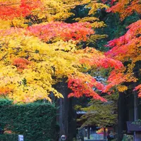 光前寺の写真・動画_image_220383