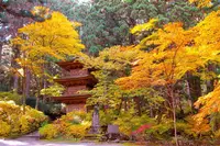 光前寺の写真・動画_image_220384